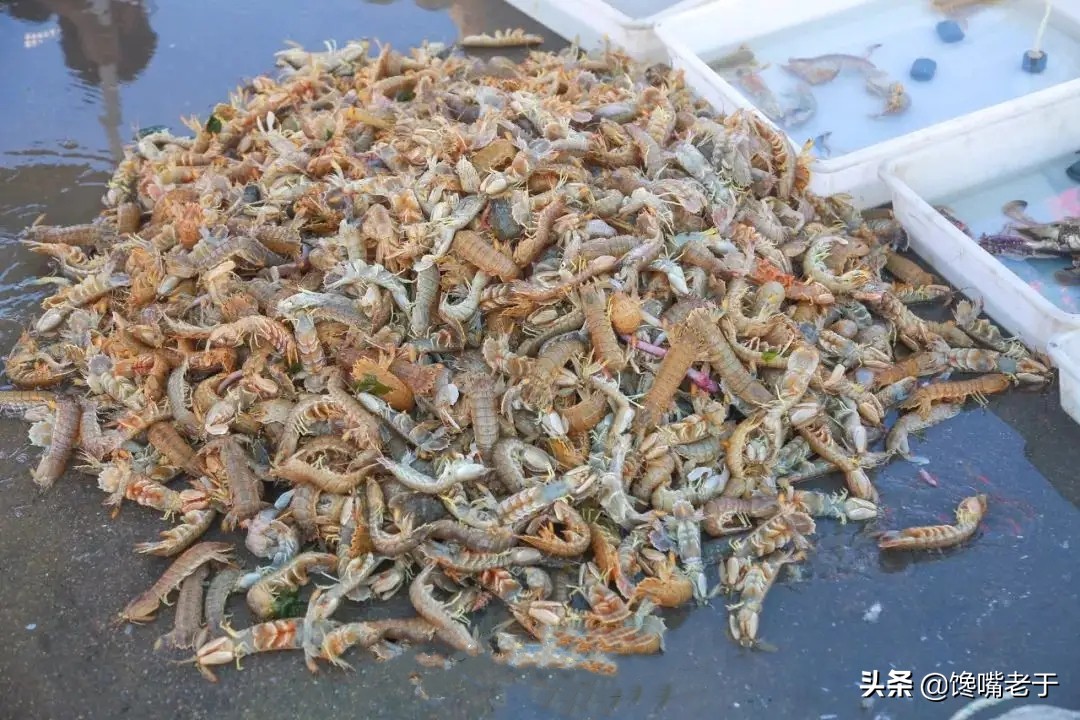 去天津必点的5道津菜,天津正宗津菜哪里最好