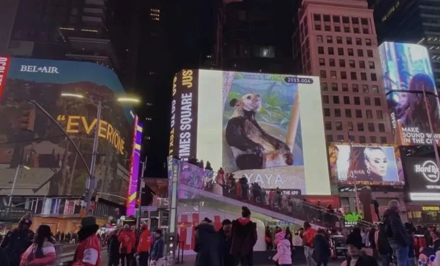 美国纽约时代广场大屏费用,登上纽约时代广场大屏幕需要钱吗