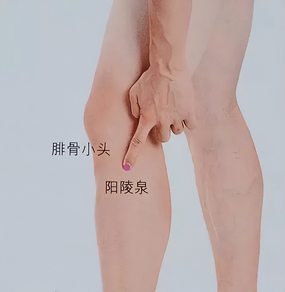 中医必知81个特效穴,一病一穴学中医必知的81个特效穴