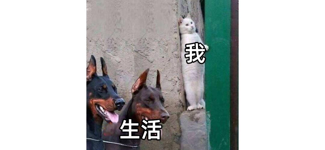 租房的电费总感觉有猫腻找谁查看,租房电费有猫腻怎么办