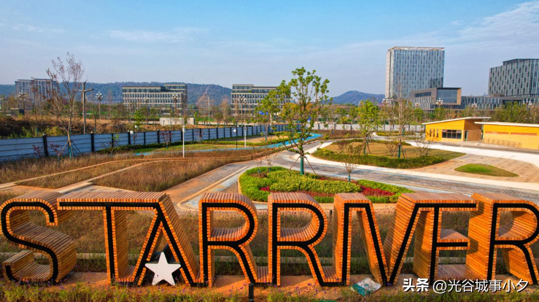 杀疯了1完整版免费观看,杀疯了1完整版免费