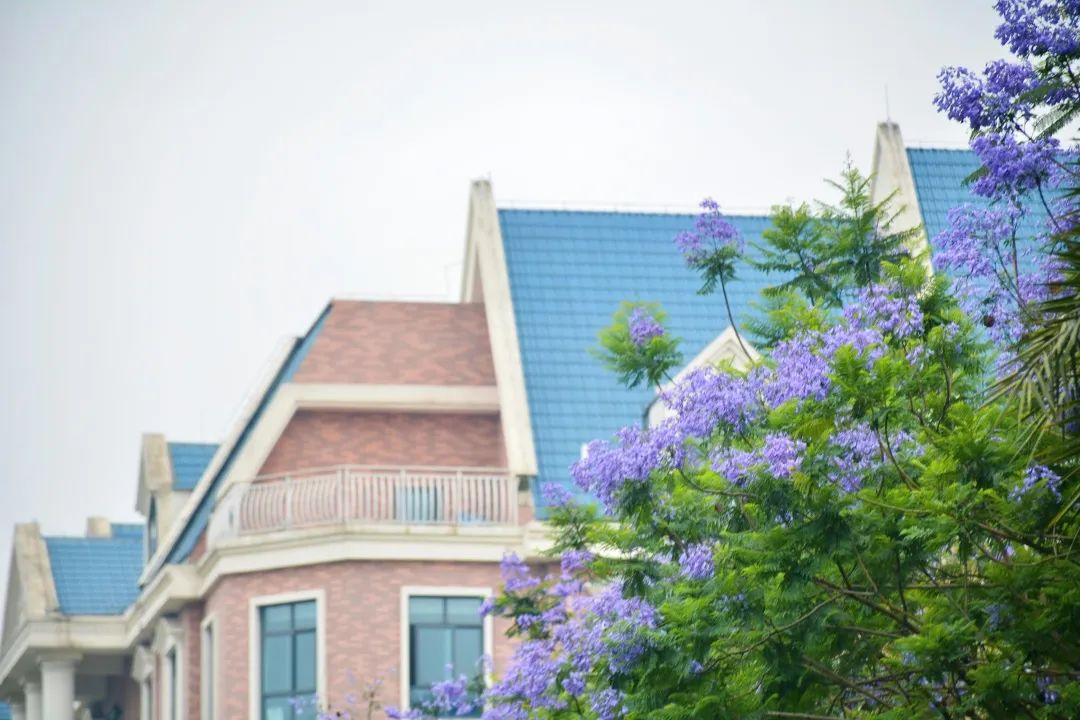 图鉴不凡｜如果你要看新川，就不能只看新川的美……