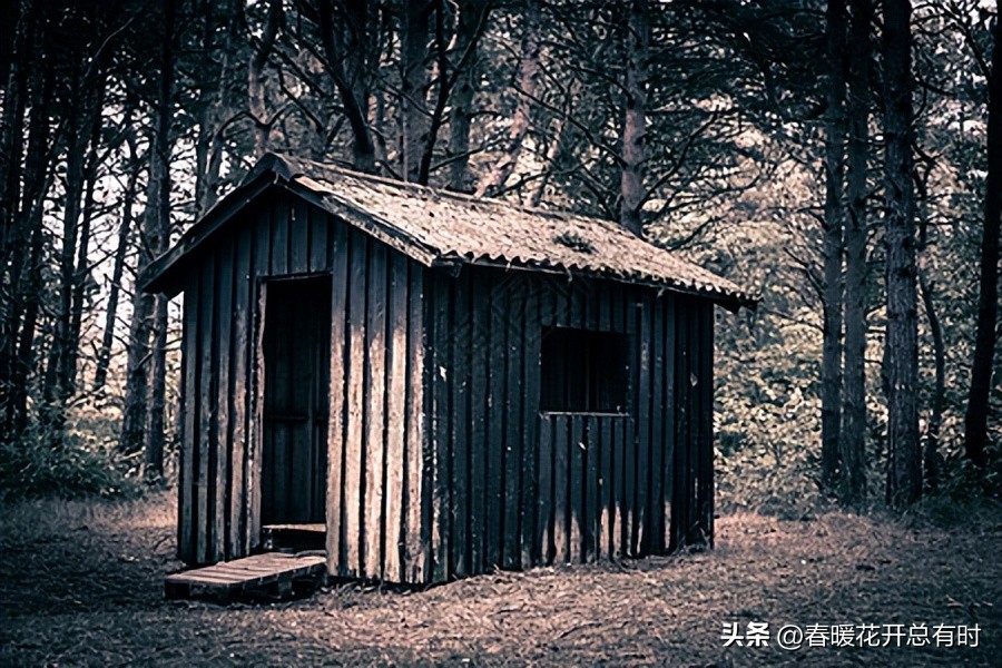 灏忚鎮蹭激灏忓眿,鎮蹭激灏忓眿