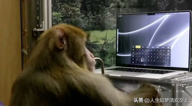 缅甸今日热点头条新闻,每日热点头条新闻直播