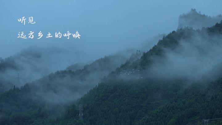 乡村振兴示范村典型案例规划设计,偏远山区乡村振兴示范村典型案例