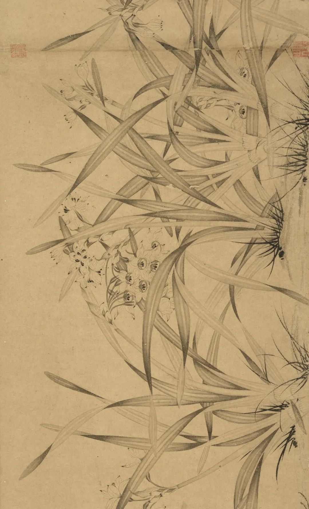 慕容看世界的视频,慕容看世界所有视频