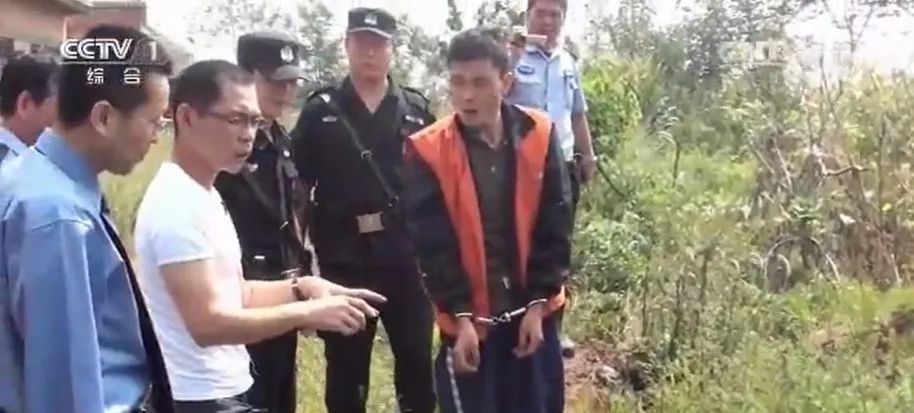 独居女子被杀后续,独居寡妇的真实事件