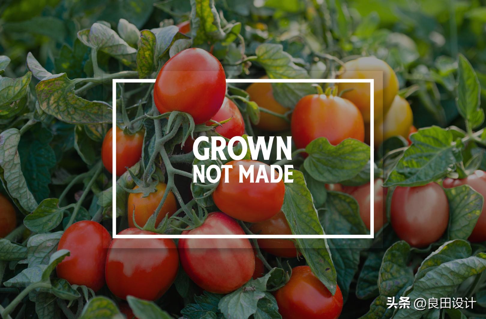 一个包罗万象，新在线平台：亨氏网站设计