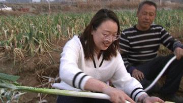 他种的大葱，比姚明高一头