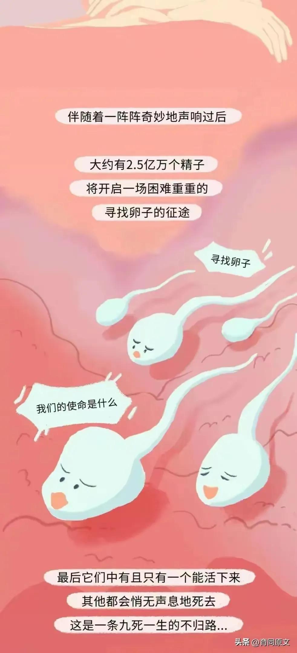 关于怀孕初期的漫画,漫画女性怀孕后都要经历些什么