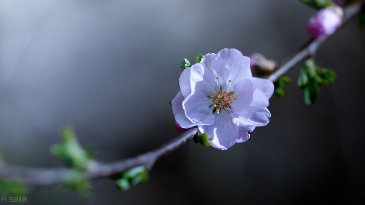 清都的原创诗词，4年作品合集，用文字记录生活