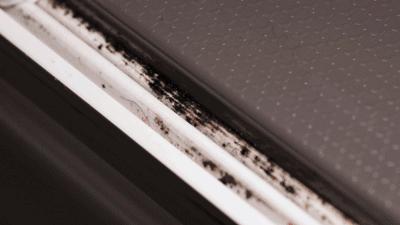 国内冰箱十大品牌2023排行榜,冰箱哪个品牌质量最好怎样选冰箱