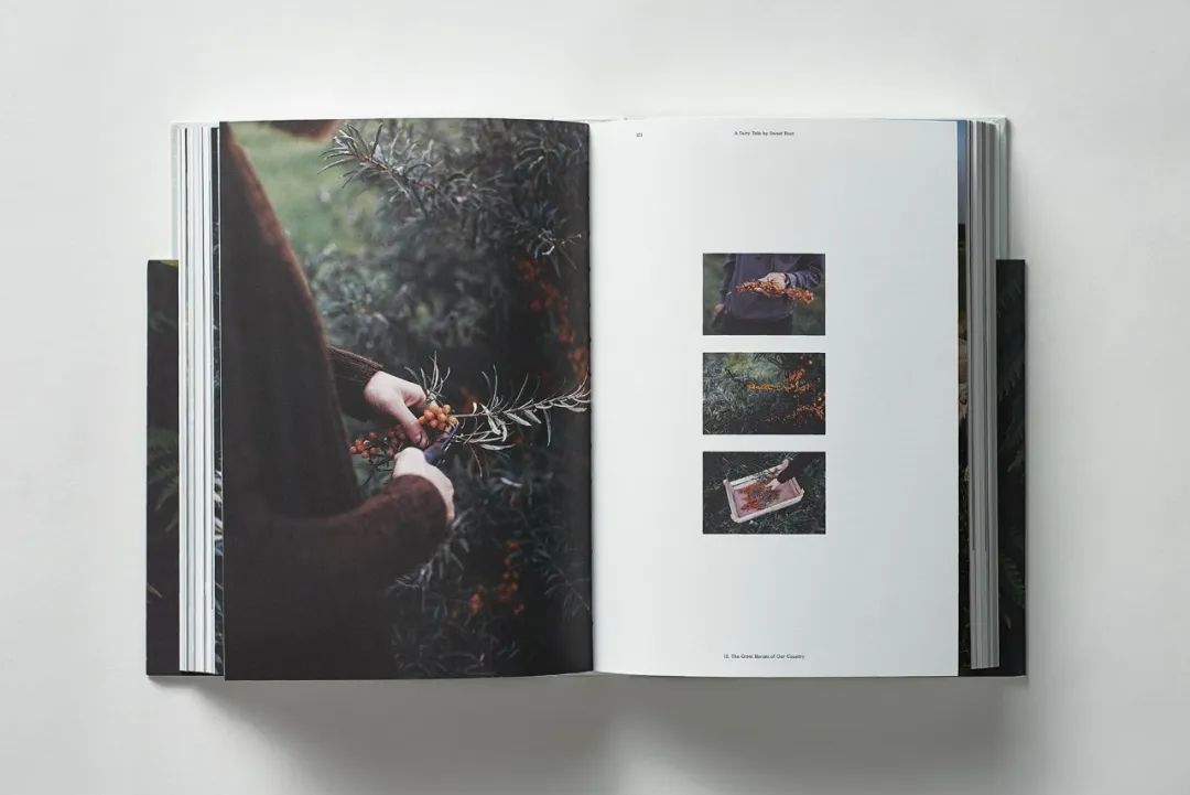 椤剁骇鐢诲唽鎺掔増妯℃澘鏋勫浘,鍒涙剰鐢诲唽鎺掔増璁捐