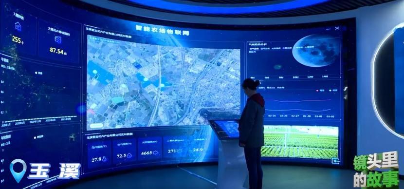 玉溪数字经济项目,玉溪经济动能