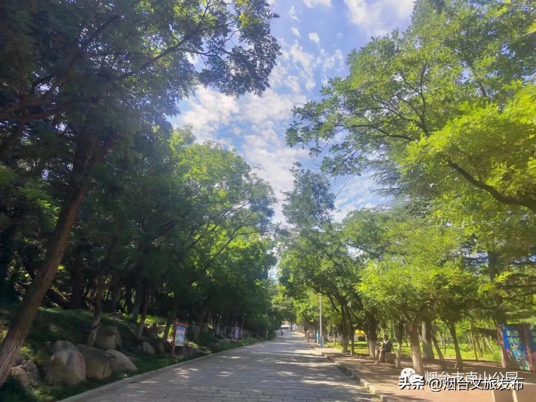 【玩转烟台】秋高气爽的日子里，来南山公园享受一段秋日慢时光