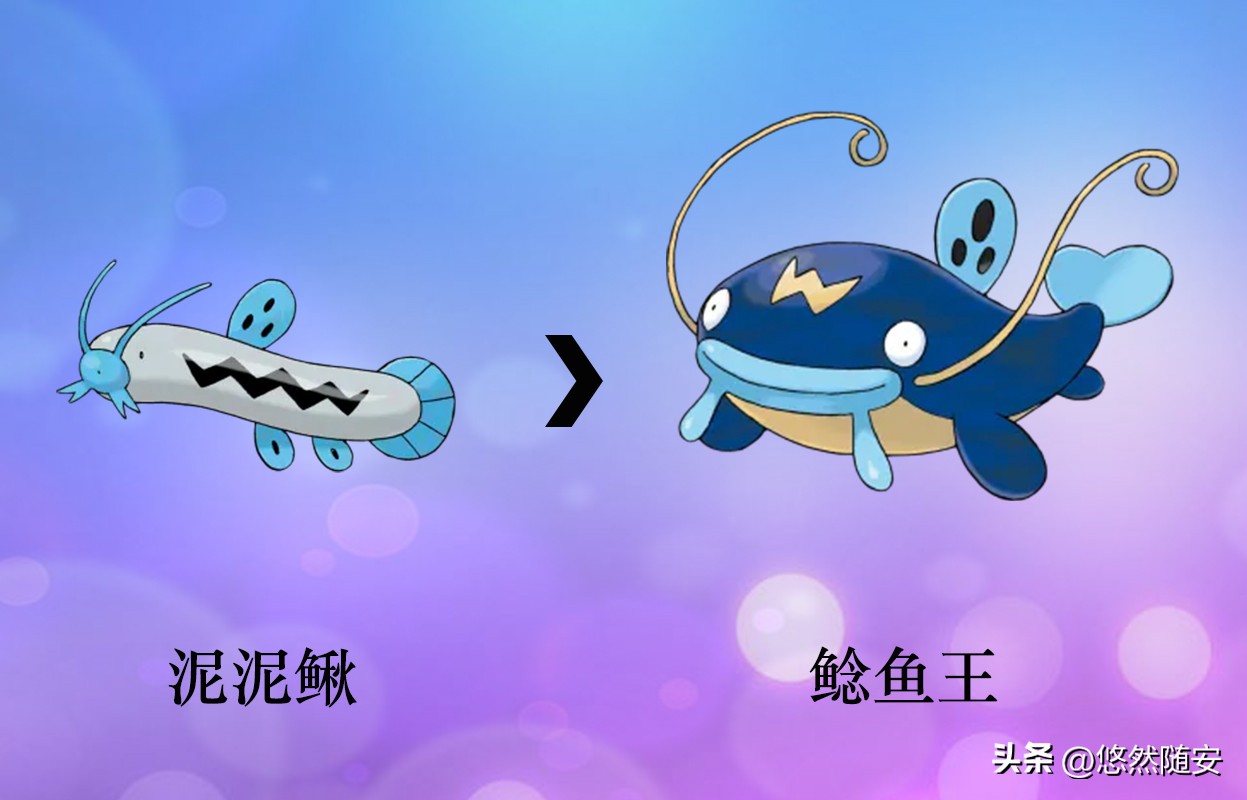 宝可梦进化形态,神奇宝可梦伊布进化形态