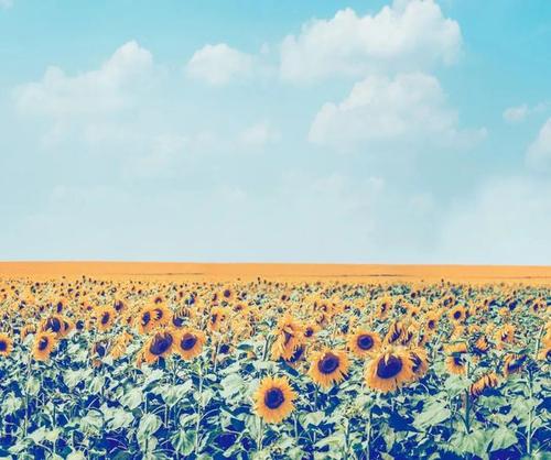 兴趣是最好的老师作文记叙文,兴趣是最好的老师高中作文800字