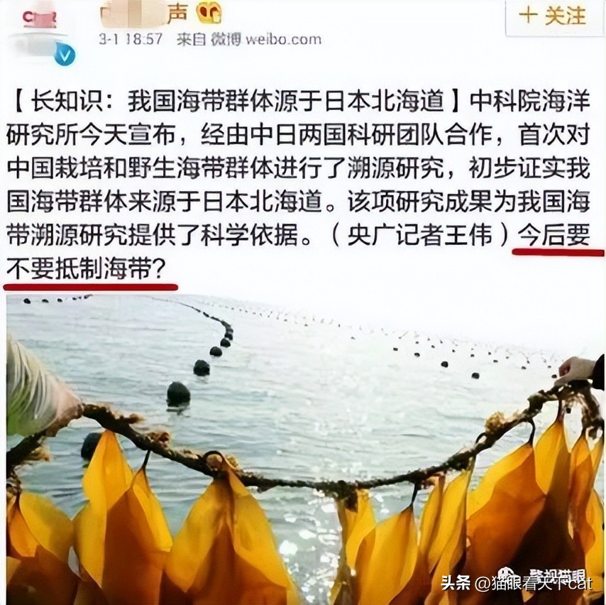 日本海鲜禁止进口范围,日本海鲜禁止进口是不是真的