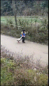 给力的一字马,给力的一字马后续