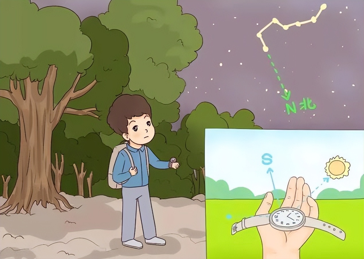 适合社恐和实操能力强的专业,社恐经济类专业