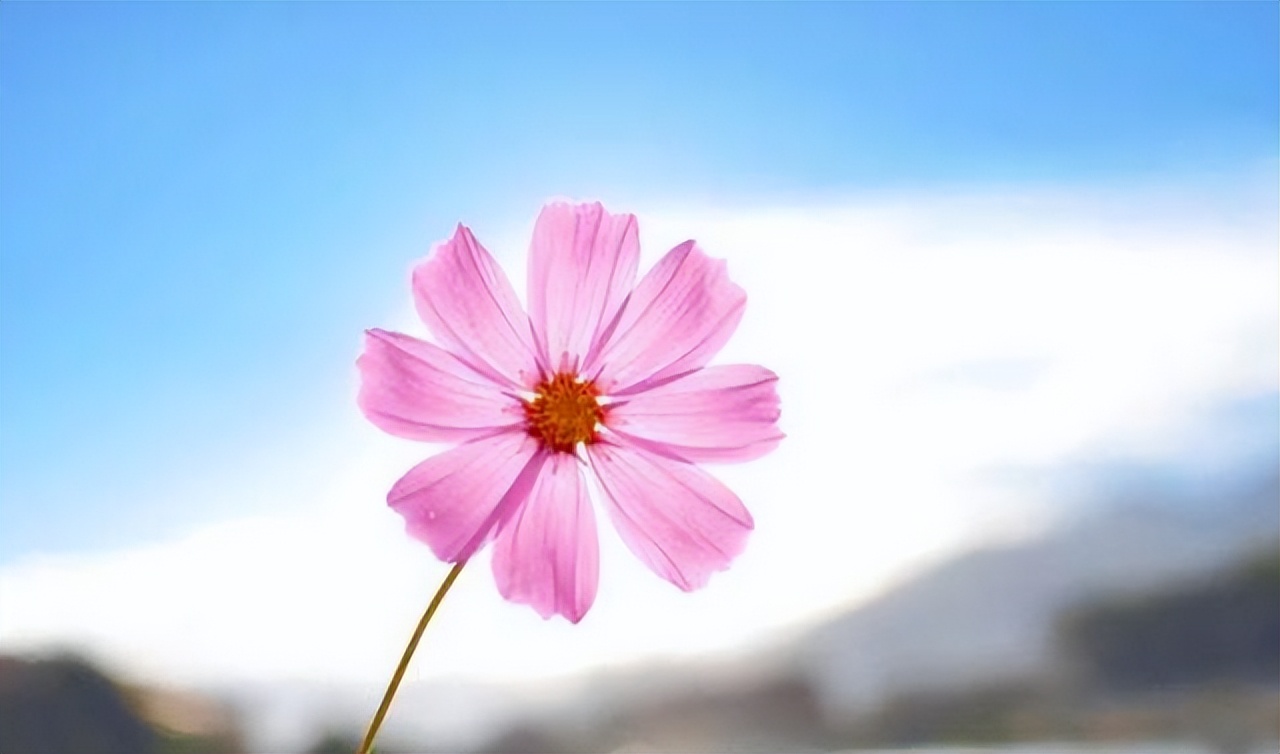 情人相处如何才能长久,情人相处怎么样才不累