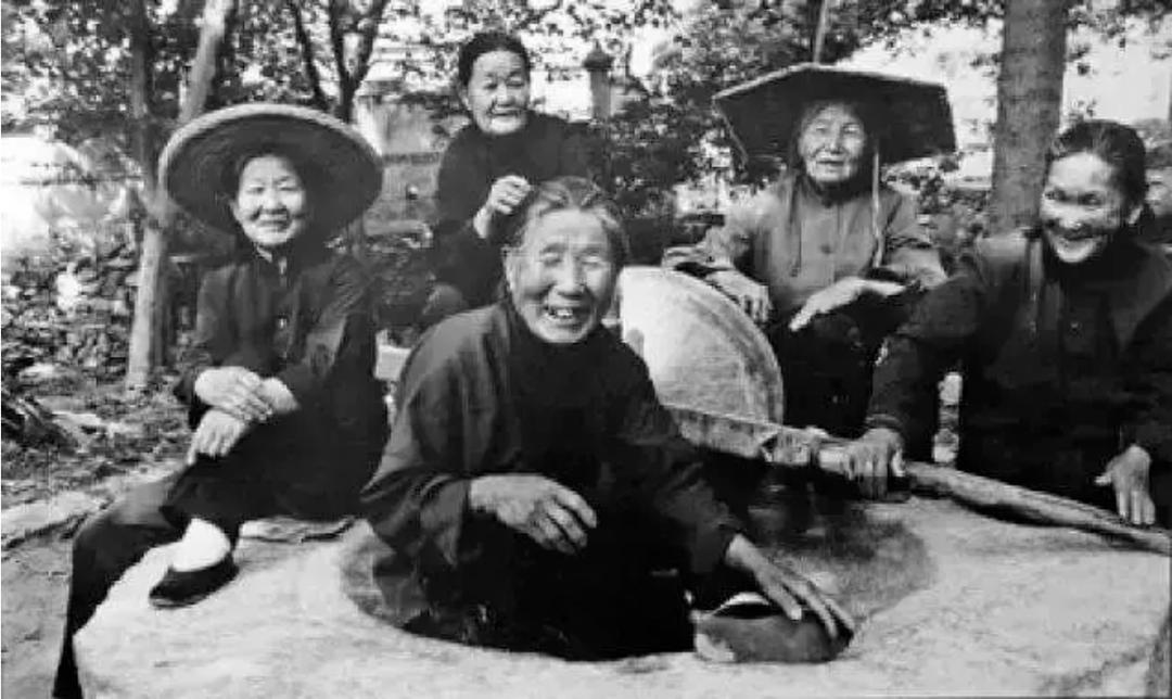 山东卫康集团生物科技有限公司,山东卫康生物优势