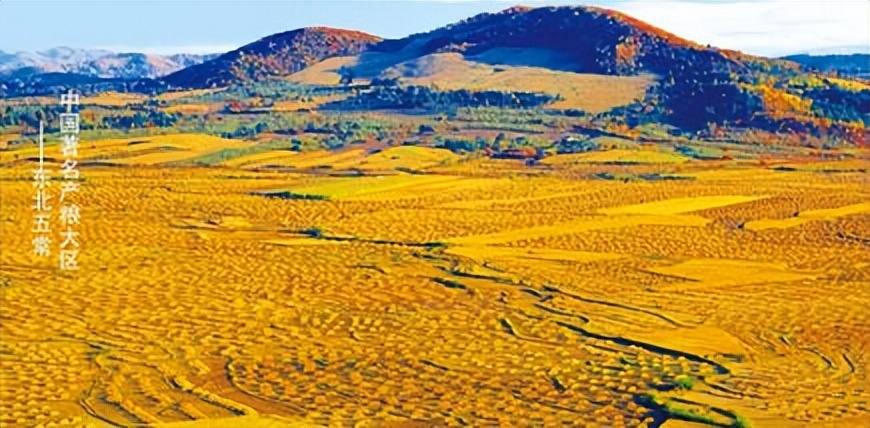 谁在砸中国人饭碗？200万年形成的“土中熊猫”，被4元贱卖给美日