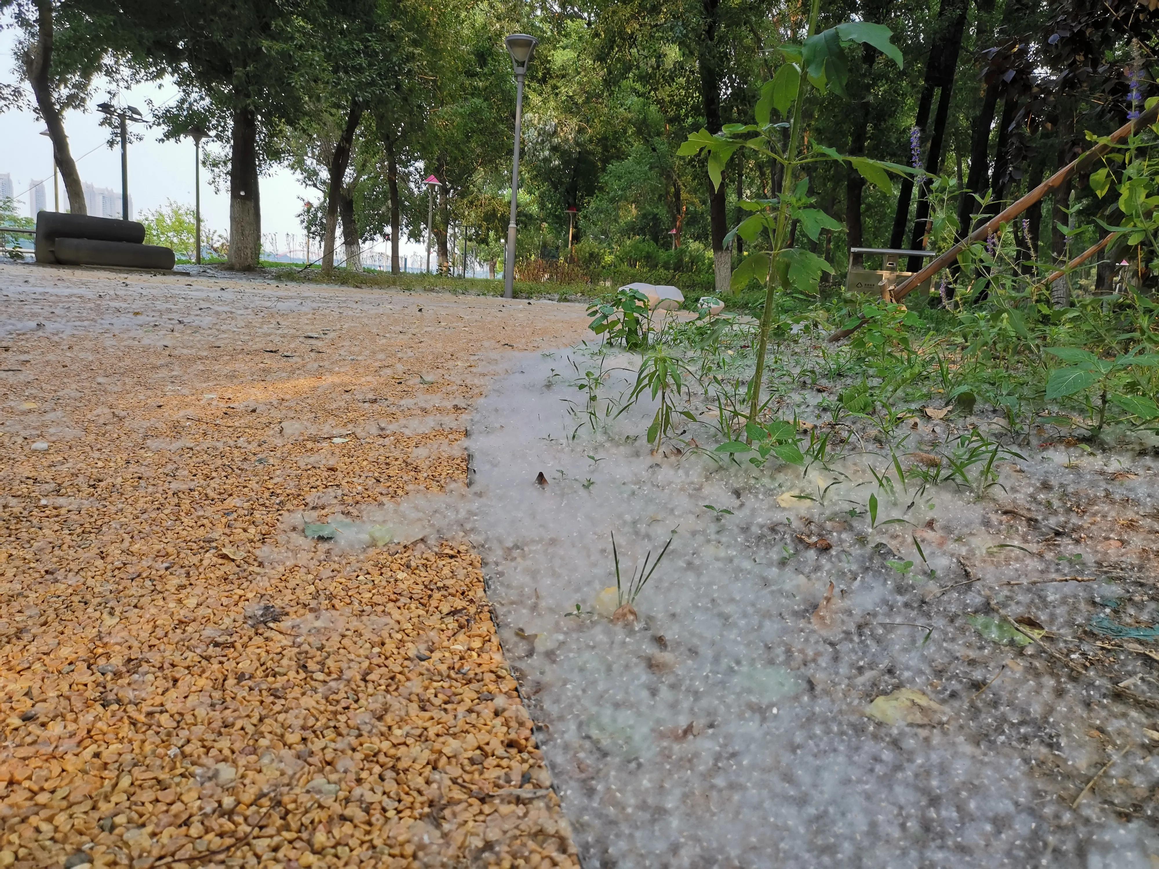 沈阳奥林匹克生态公园划船,浑南滨河公园