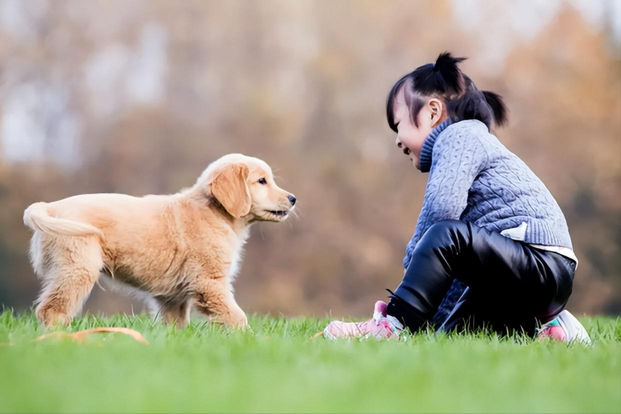 如果孩子想要一只宠物，家长先别左右为难，看完这篇文章再做决定