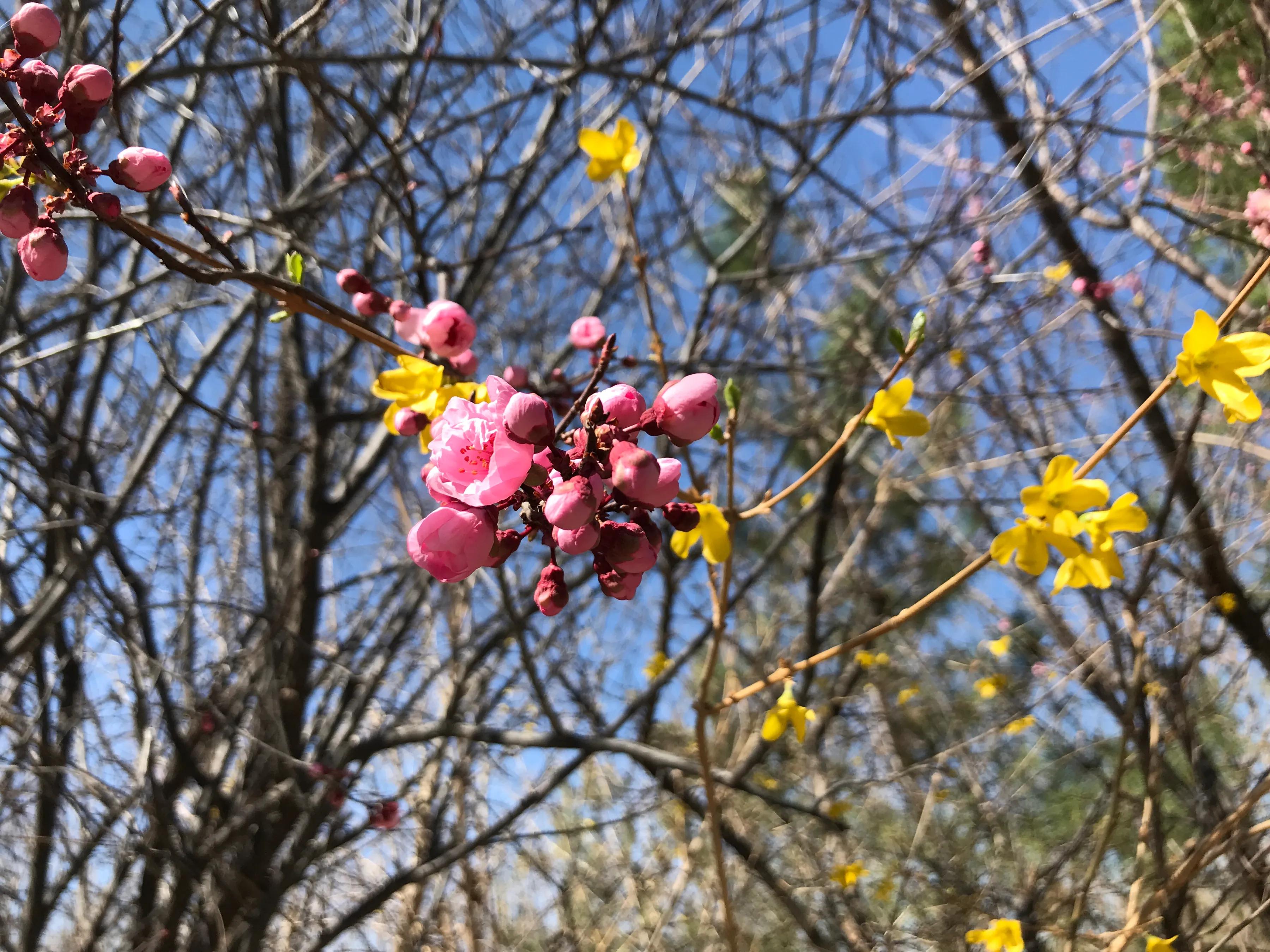 种下一棵希望的幼苗，交换出无限的快乐与成长