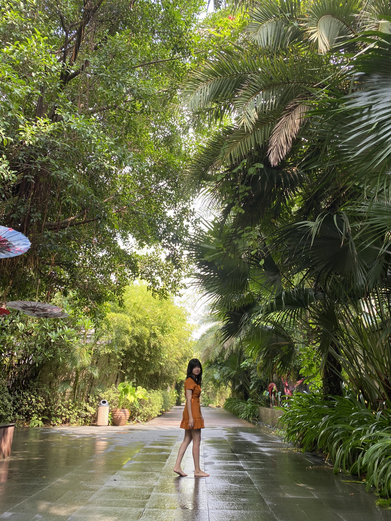清远樱花温泉度假,清远温泉度假别墅推荐及预订攻略