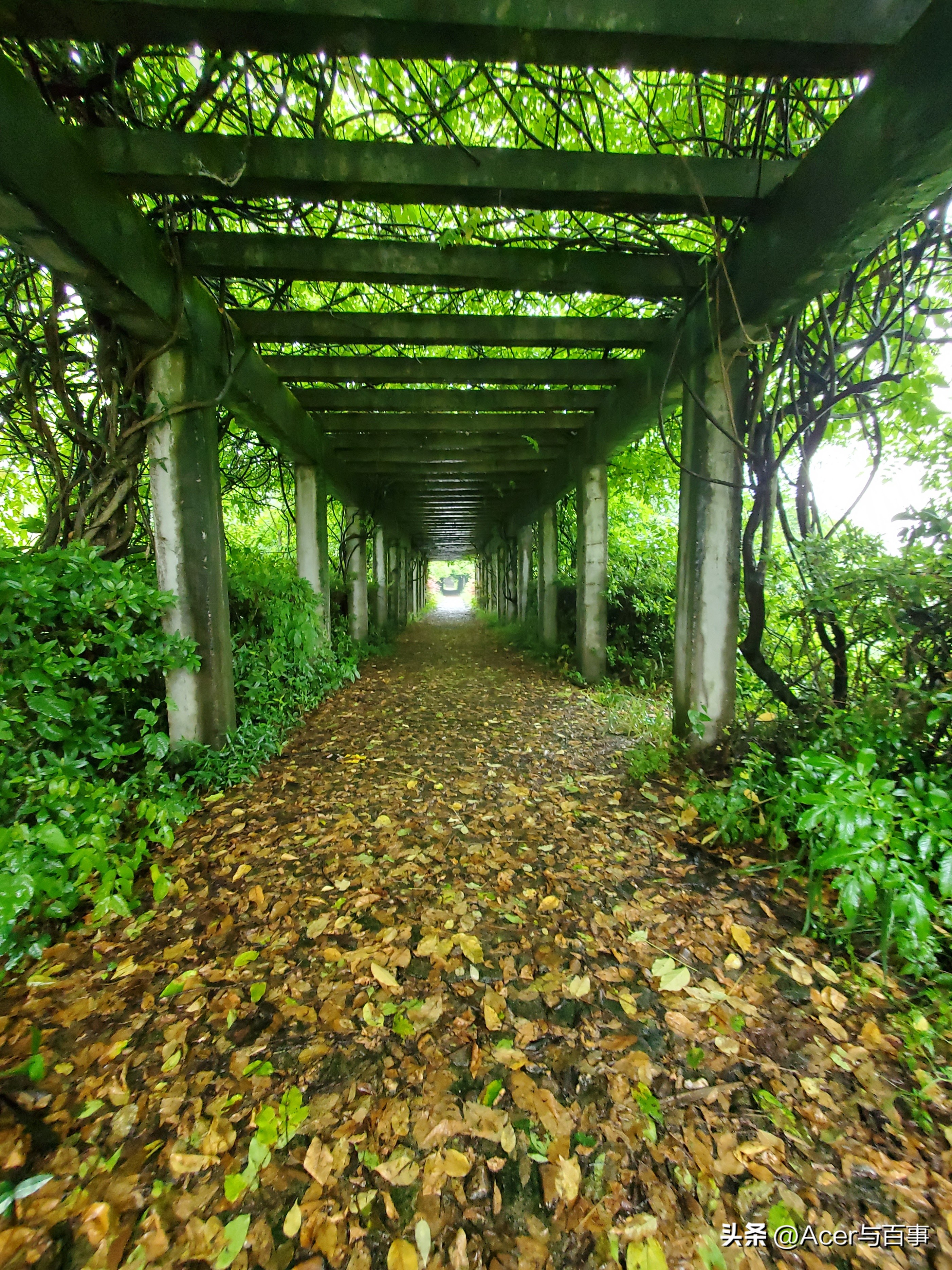 江西省吉安市——吉水县八都镇105国道毛*东泽**祖籍纪念园（4）