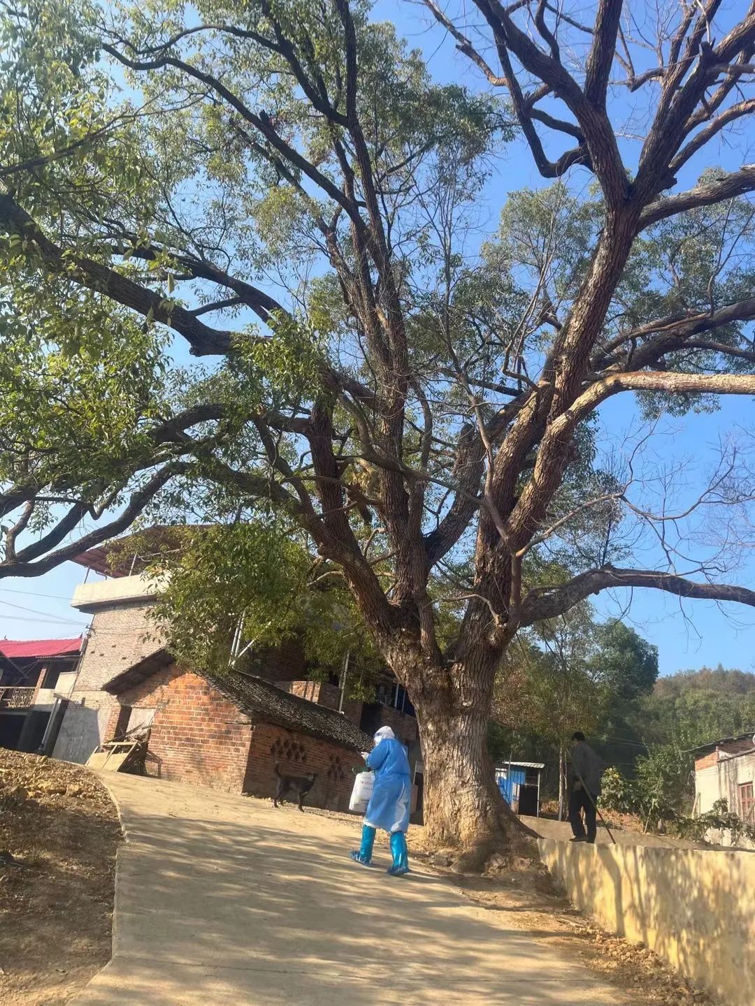 防疫第一线亮丽风景线,医护人员防疫最美背影