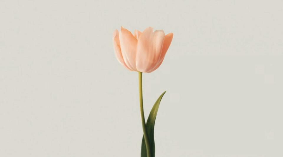 路易威登2022秋冬女装灵感,路易威登2022秋冬女装时尚穿搭