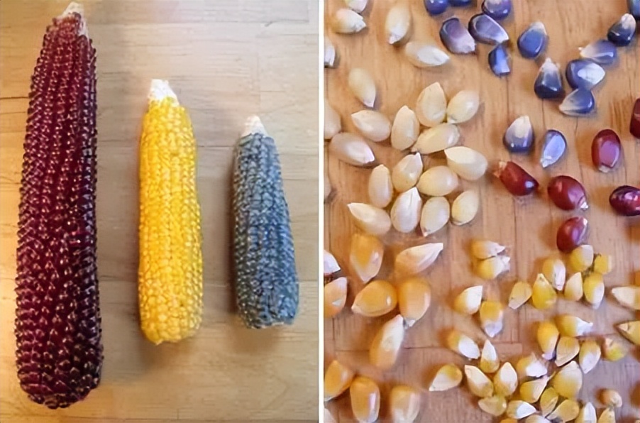 小时候崩爆米花的情景,以前崩爆米花