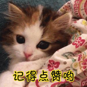 比熊犬泪痕处理方法,比熊犬泪痕特严重怎么办