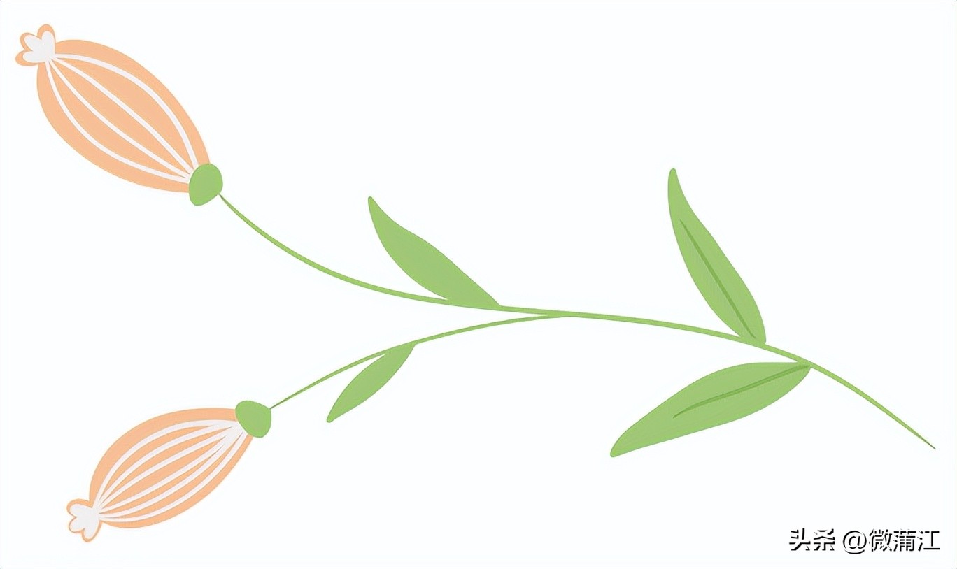 钂叉睙鎴愪匠鑼堕┈涓栧鐮斿鍩哄湴,鍥涘钂叉睙