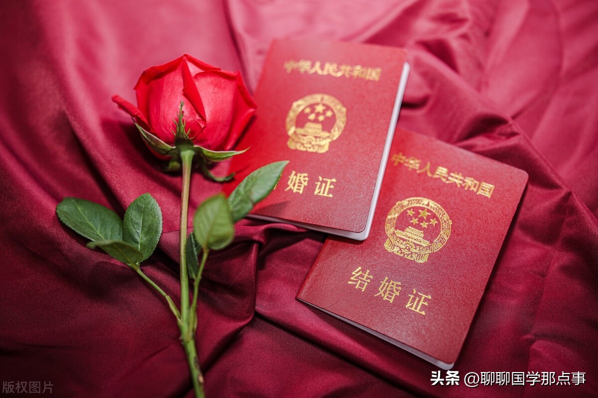 2023年生肖狗运势详解完整版,十二生肖运势2023年属狗详解