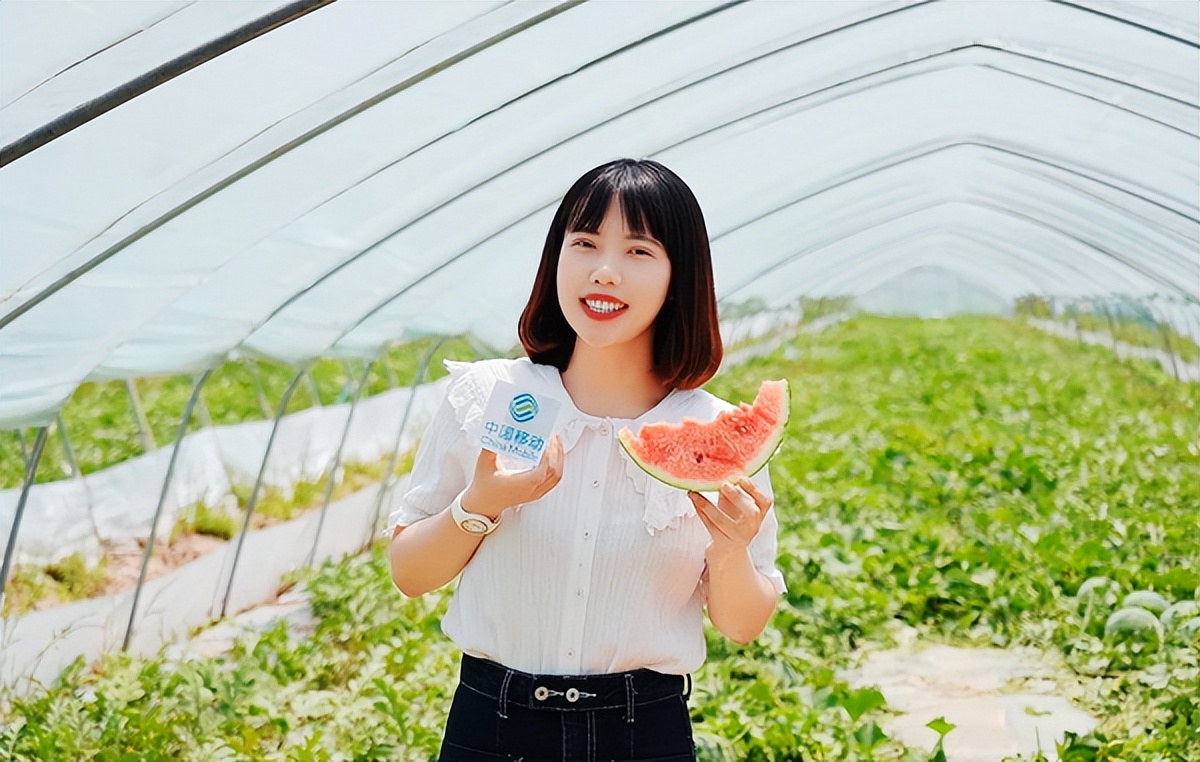 宿迁移动5G直播助力洋北西瓜上“云”端