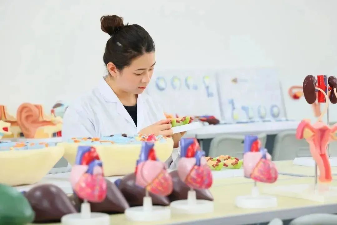 妙手仁心，守护健康美丽——医药健康学院