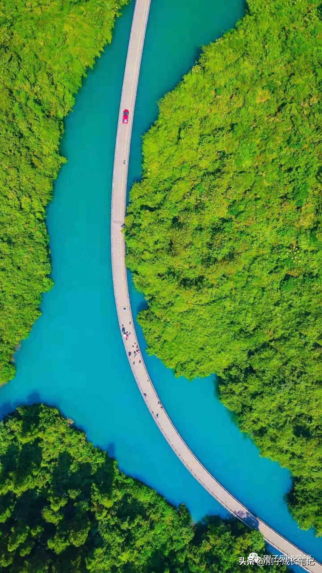 0基础写作变现课程,0基础学写作