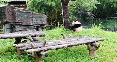 预订景区门票优惠活动,限时福利门票加一元畅游一整年