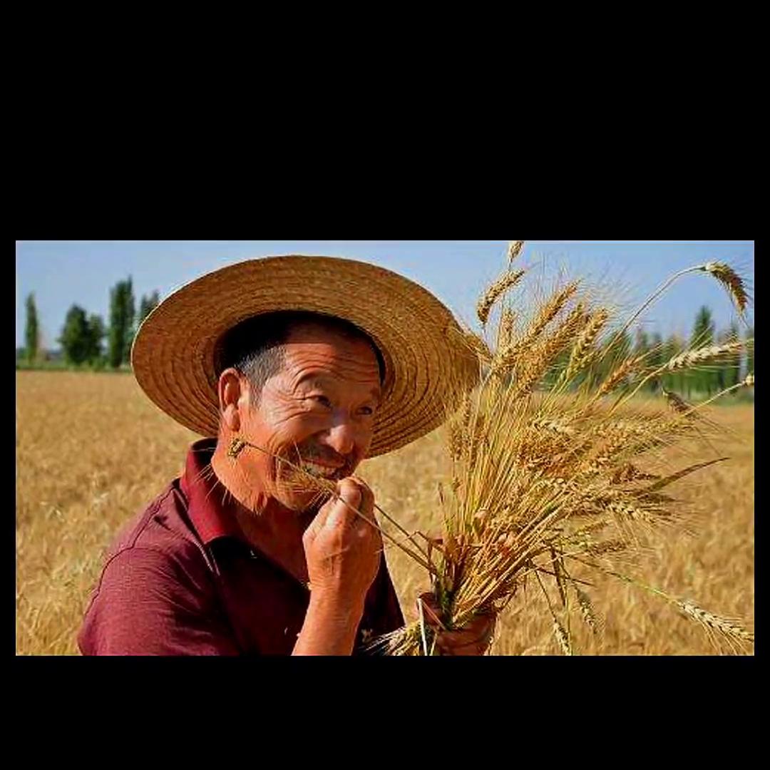 余华的许三观卖血记经典语录,余华的许三观卖血记算不算经典