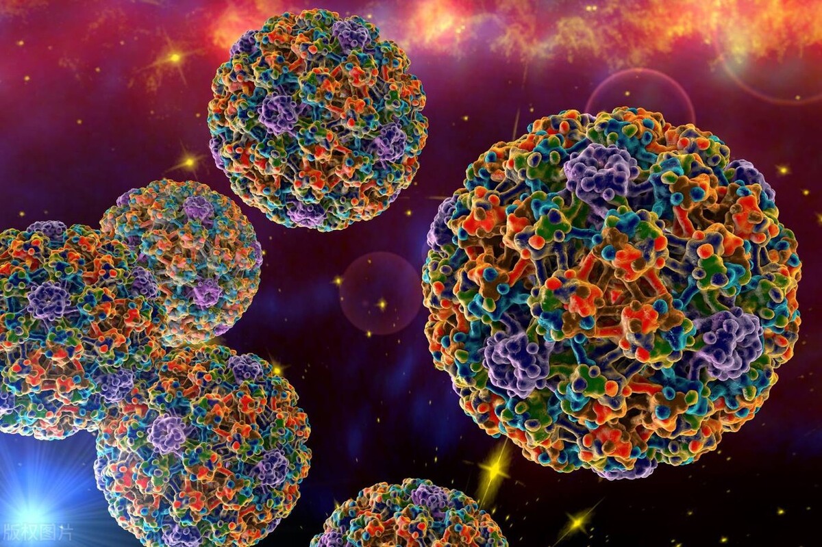 张仲景伤寒论中治疗肠炎的方子,张仲景治肠炎中药方