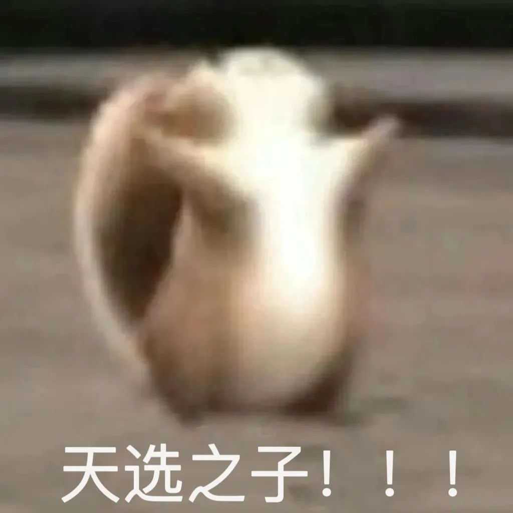 这是陷阱,这是陷阱粤语完整版