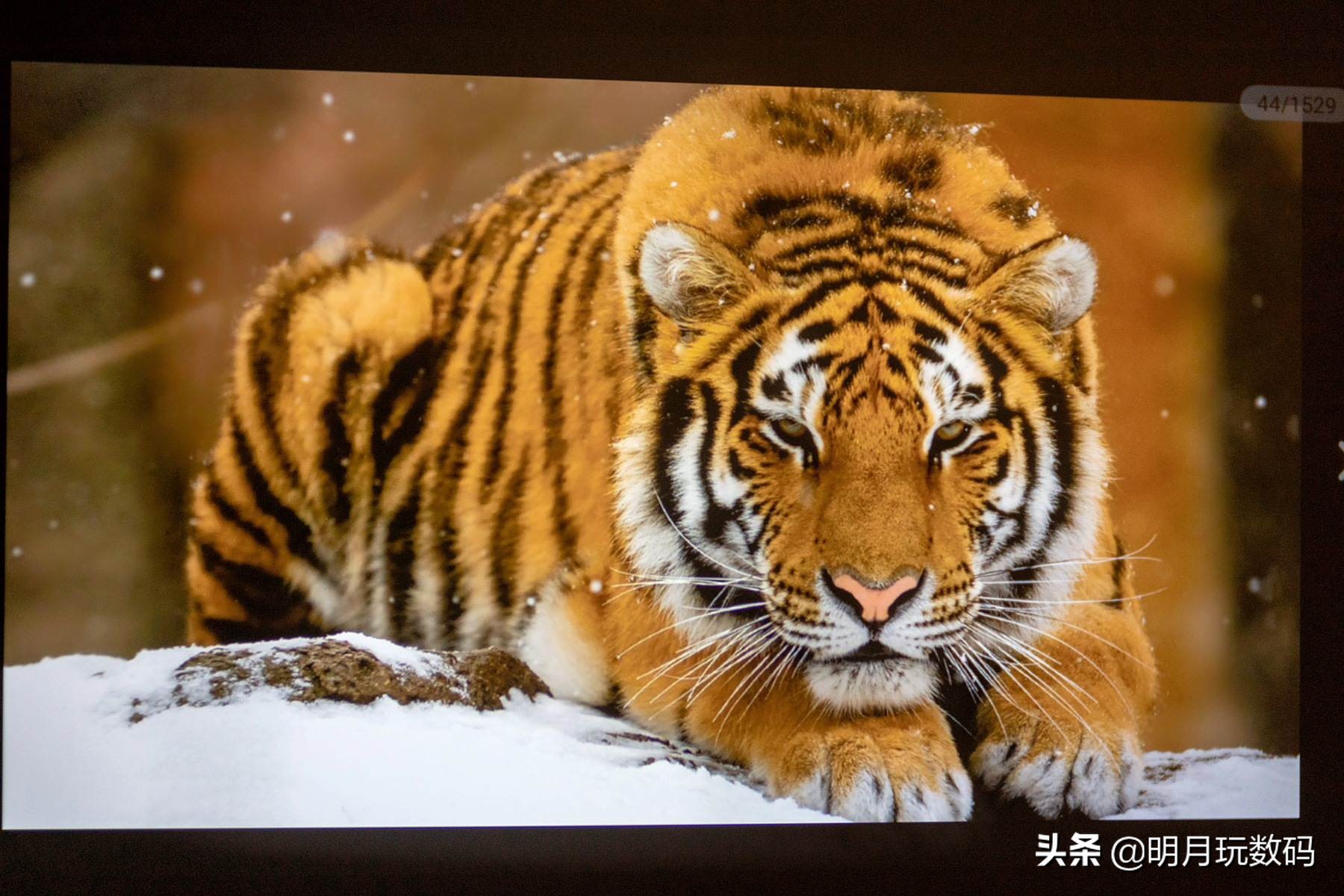 泰捷weboxt1投影仪和t1s怎么选,泰捷投影t1s缺点