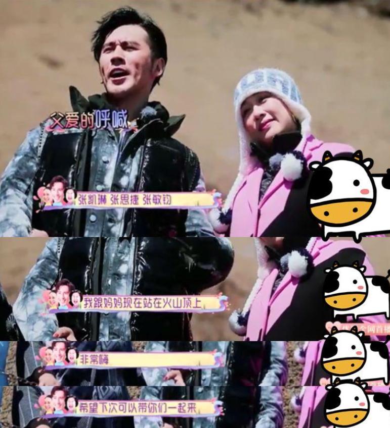 张伦硕钟丽缇结婚几年,钟丽缇嫁小12岁张伦硕