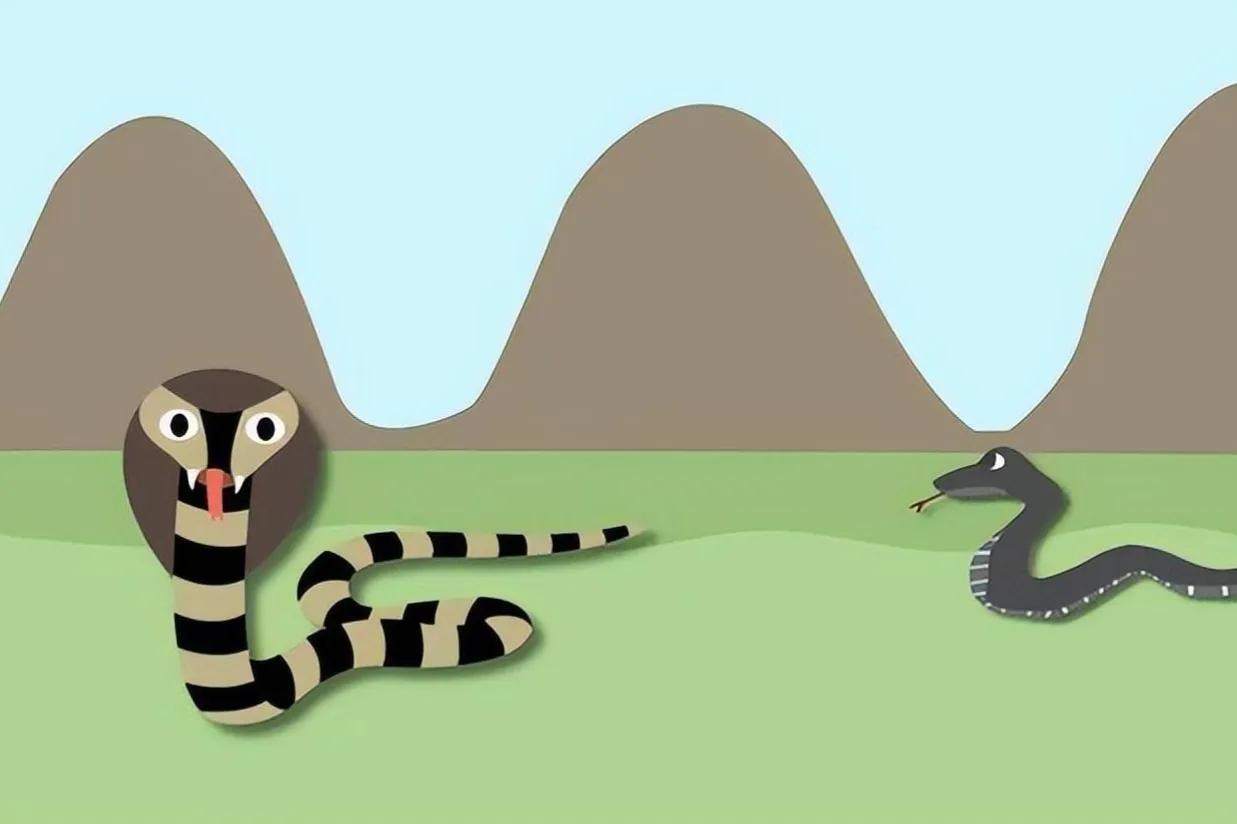 21岁男子上山采药被五步蛇咬伤,湖南21岁男子上山采药被蛇咬伤