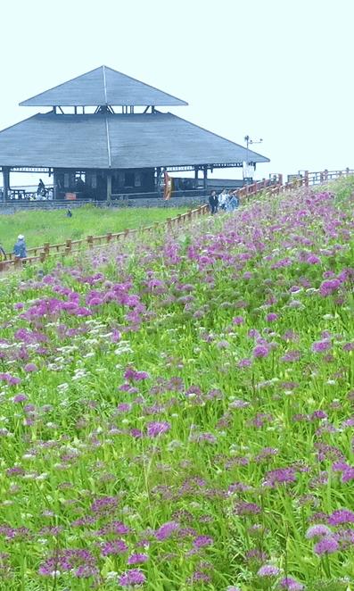 9月旅行地推荐最适合初秋出游,9月旅游最佳地方国内3-5天
