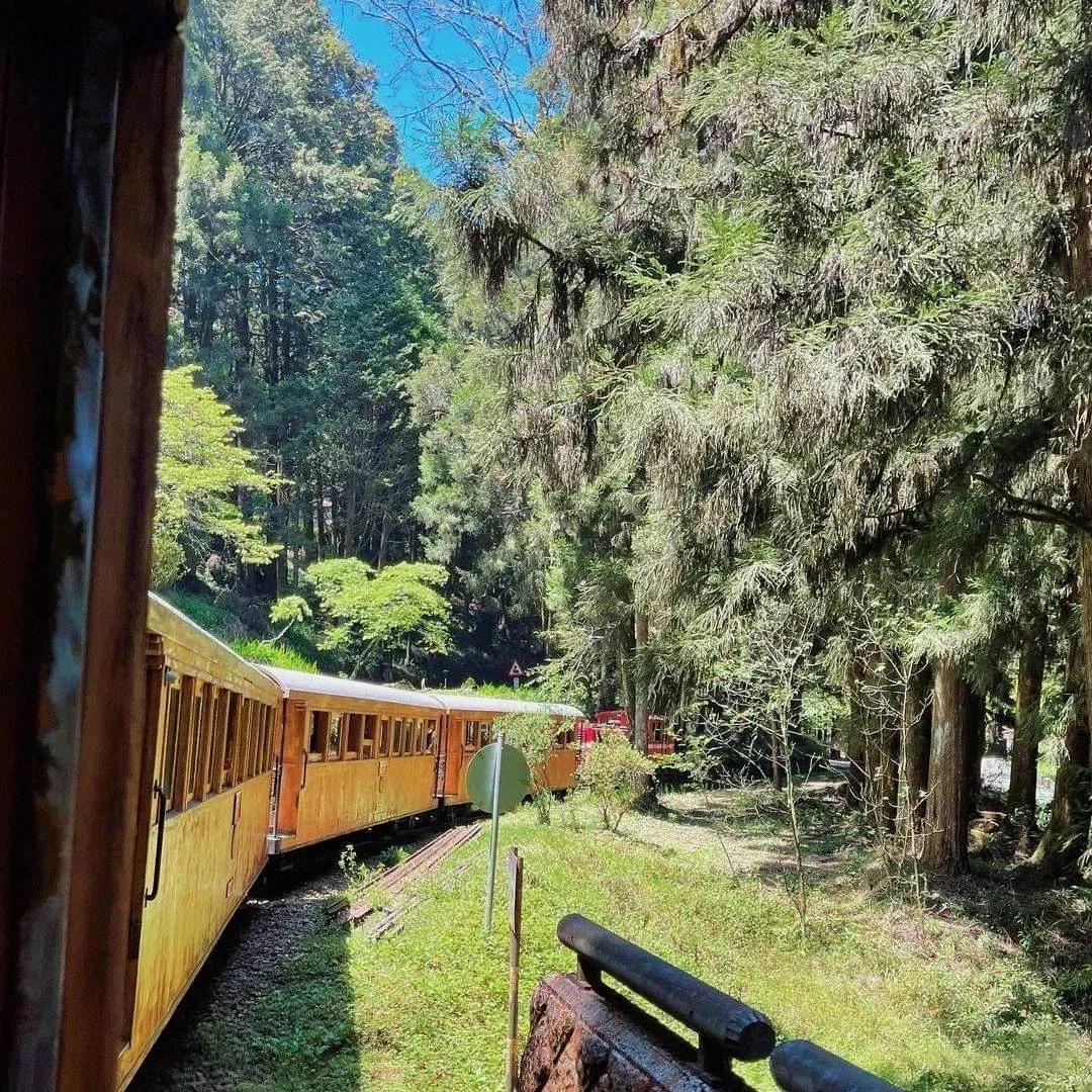 避暑胜地有山有水有树林,大别山避暑胜地有哪些